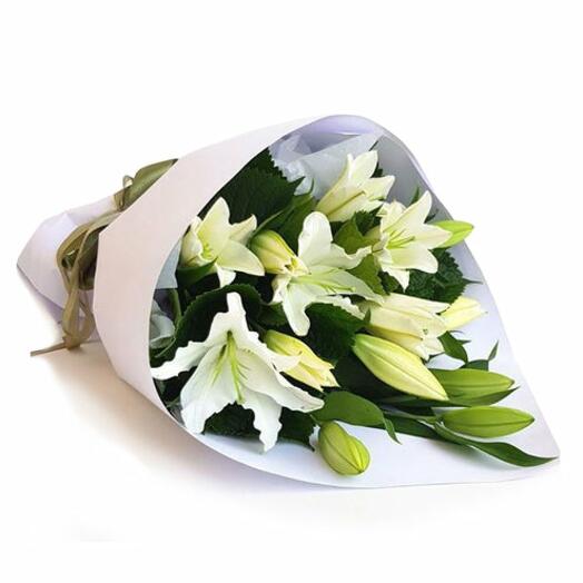 Oriental Lily